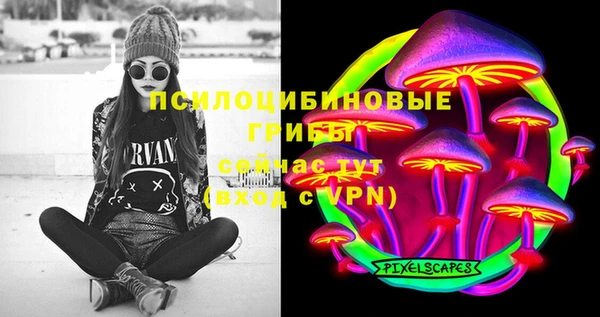 эйфоретик Аркадак