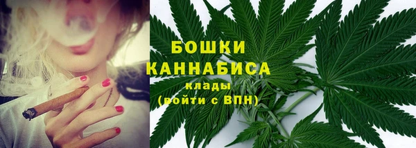 бошки Арсеньев