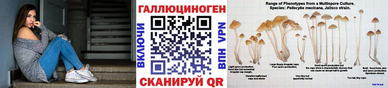 МЕГА tor  Лыткарино  Галлюциногенные грибы прущие грибы 